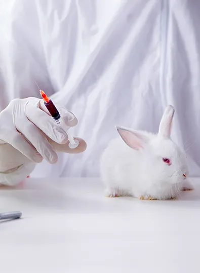 lab-spaces-for-animal-health-research-companies-india